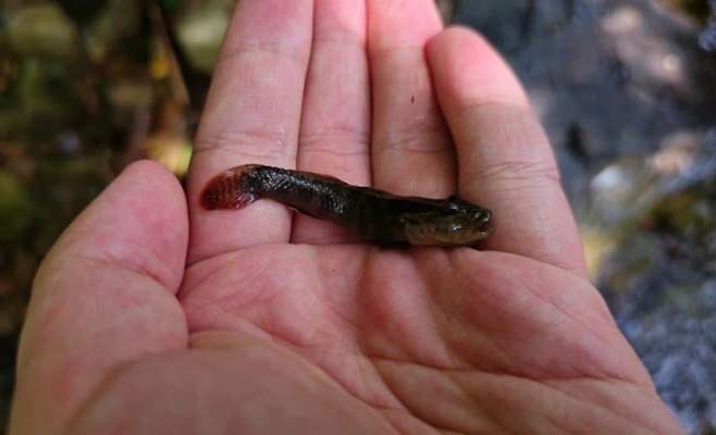 28b9d932da836ff33fe78ee64781716c5d6c728ce1b78396bbbe74302150c53a9ed8