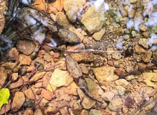 28b9d932da836ff33fe78fec4588736b52b28380a6f37d8958d24479920cdf2fcbe0