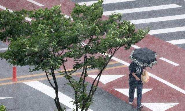 연일 찜통더위가 이어지고 있는 8일 전북 완주군 삼봉로 일원에 소나기가 쏟아지고 있다. 뉴스1