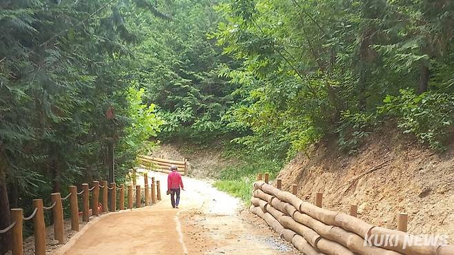 예산 봉대미숲 황톳길.