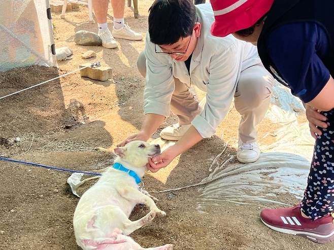 자신을 치료해준 최중연 원장을 향해 애교를 부리고 있는 몽실이/사진=SNC동물메디컬센터