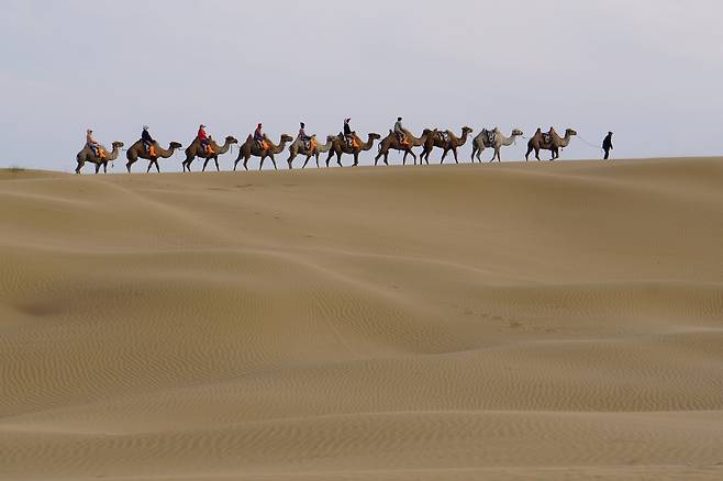중국 내몽골 자치구 인컨타라 사막에서 즐기는 낙타 타기 체험