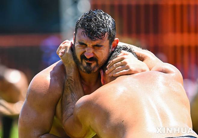 [에디르네=신화/뉴시스] 5일(현지 시간) 튀르키예 에디르네에서 열린 제664회 오일 레슬링 대회에서 참가자들이 경쟁하고 있다.대회에 참가한 참가자들은 상의를 벗고 가죽바지만 착용한 채 온몸에 올리브 오일을 발라야 한다. 상대의 등이 바닥에 닿으면 승리한다. 2025.07.07.