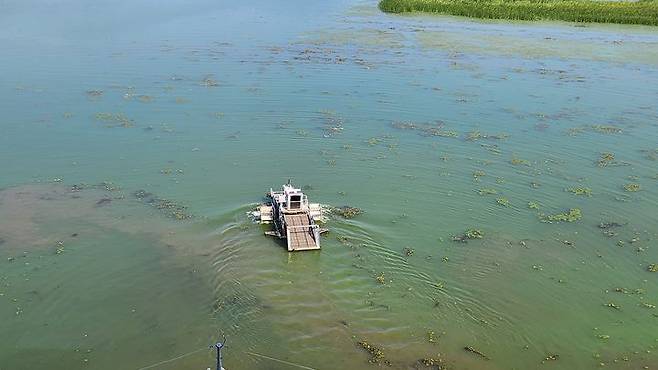 [수원=뉴시스] 올해 5월 팔당호 녹조. (사진=경기도 제공) 2025.05.21. photo@newsis.com *재판매 및 DB 금지