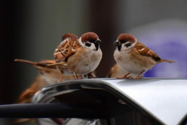 사진은 기사 내용과 무관함. 뉴스1