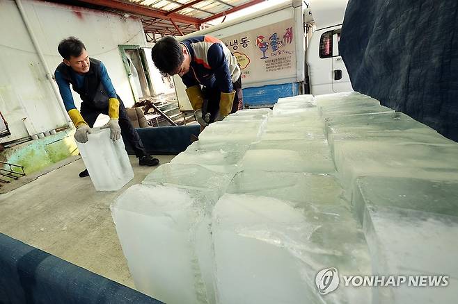 폭염 속 분주한 얼음공장 (담양=연합뉴스) 김혜인 기자 = 연일 폭염 특보가 이어진 8일 오전 전남 담양군 봉산면 한 얼음공장에서 작업자들이 트럭에 얼음을 싣고 있다. 2025.7.8 in@yna.co.kr