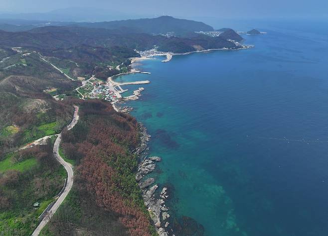 산불로 그을린 영덕 해안가 [촬영 윤관식]