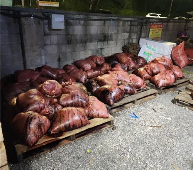 지난해 6월 울산 동구에 배출된 고래 부속물이 담긴 마대자루. 전국민주연합노동조합 제공