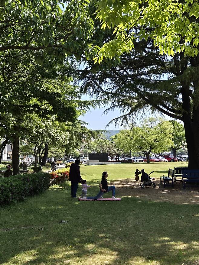 짙은 나무 그늘 아래 조용히 여가를 즐기는 시민의 모습이다. 유모차와 벤치, 햇살과 바람이 함께하는 어느 평화로운 황성공원의 오전이다.