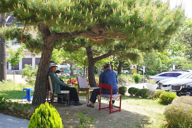 소나무 아래 모인 노인들의 얼굴에 바람이 스친다. 말없이 웃고, 천천히 움직이며 시간도 함께 쉬고 있다.