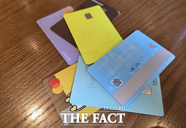 카드사들의 수익 창구가 줄어들면서 자동차할부, 법인 고객 유치 등으로 수익성을 확보하려는 움직임이 나타나고 있다. /김태환 기자