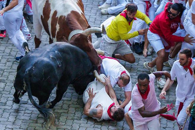 7월 8일 스페인 북부 팜플로나에서 열린 산 페르민 축제의 두 번째 황소 달리기 도중 참가자들이 황소를 피해 달리다 넘어지고 있다./AFP 연합뉴스