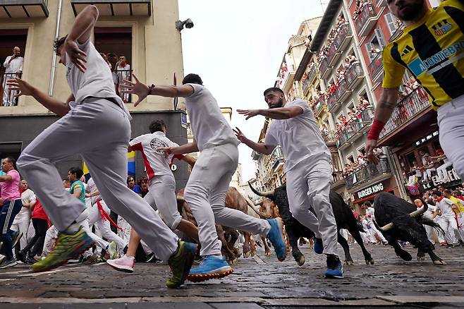 7월 7일 스페인 북부 팜플로나에서 열린 산 페르민 축제의 첫 번째 '엔시에로'(황소 달리기)에서 참가자들이 황소보다 앞서 달리고 있다. 매년 수천 명의 사람들이 일주일간 열리는 이 축제와 그 유명한 '엔시에로'에 참석하는데, 축제 기간 매일 오전 8시에 6마리의 황소를 풀어 목장에서 투우장까지 850미터(야드) 코스의 구시가지 좁은 거리를 달린다./ AFP 연합뉴스