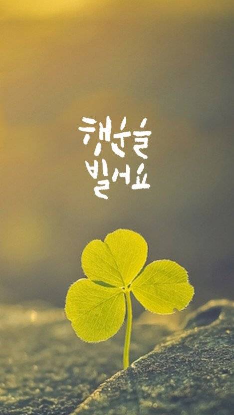 행복한 하루 보내세요 ^^