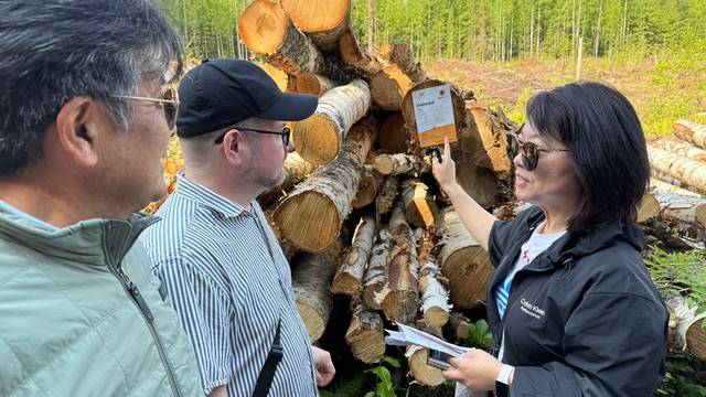 ▲요엔수 혼농임업 현장의 농장주 안띠 무타넨(Antti Mutanen)씨가 박지은 강원도민일보 정치부장에게 벌채한 나무의 경제적 가치에 대해 설명하고 있다.  핀란드 북카렐리아 요엔수/박상동 기자