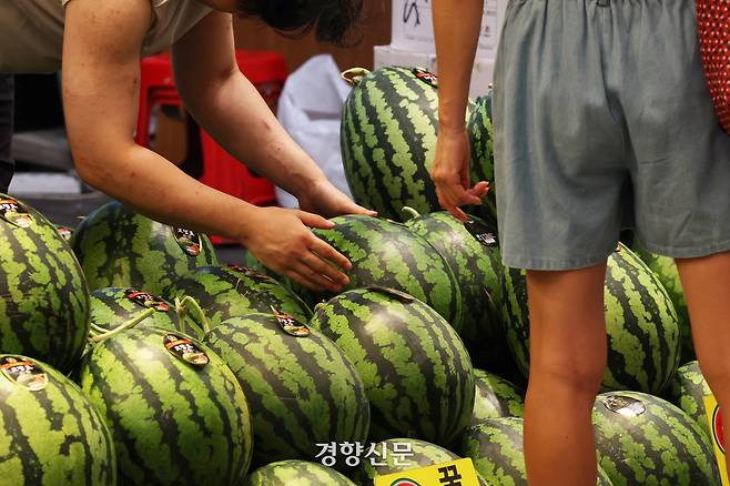 폭염 영향으로 채소 및 과일 가격이 상승하는 추세를 보이고 있는 가운데 9일 서울 동대문구 청량리청과물시장을 찾은 한 시민이 수박을 구매하고 있다. 정효진 기자