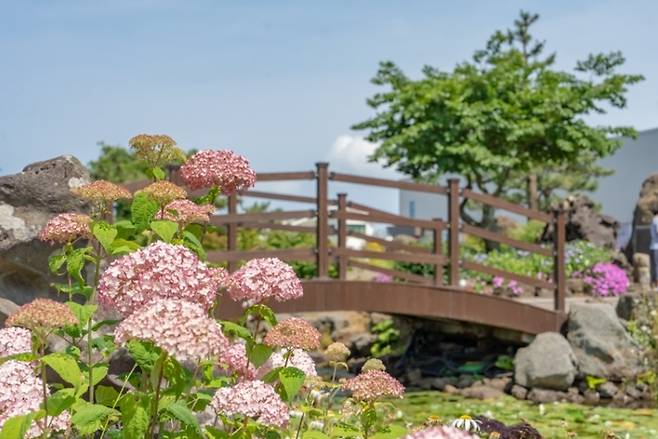 송당동화마을 / 사진=제주관광공사