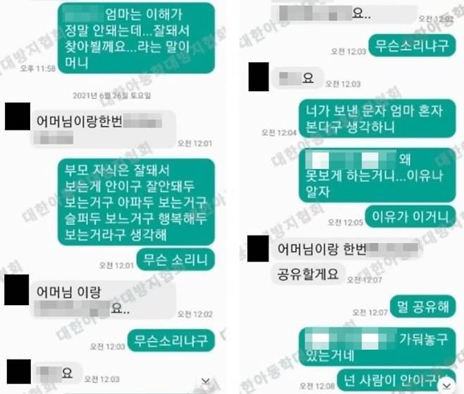 20개월 된 여아를 학대, 살해한 혐의를 받는 계부 양모씨(29)가 범행 전 장모에게 보낸 음란 메시지. /사진=대한아동학대방지협회