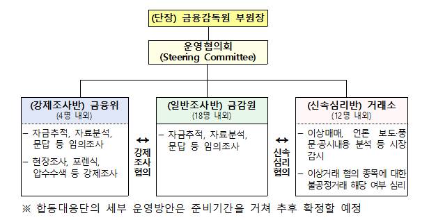 합동대응단 조직 구성 /사진=금융위원회