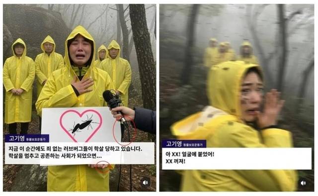 러브버그 구제에 반대한다는 동물보호운동가의 인터뷰 사진. 최근 AI로 만든 가짜로 확인됐다. 페이스북 캡처