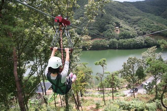 보성 제암산 휴양림