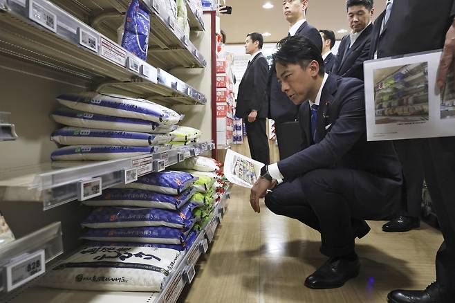 고이즈미 신지로 일본 농림수산상이 지난달 23일 도쿄의 한 슈퍼마켓에서 쌀 코너를 들여다 보고 있다. [게티이미지]