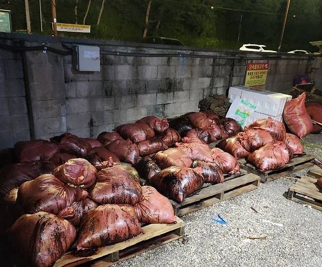 [울산=뉴시스] 박수지 기자 = 지난해 6월 울산 동구 방어동 수협위판장 건물 인근 담벼락에 버려진 고래 사체. (사진=전국민주연합노동조합) 2025.07.09. photo@newsis.com *재판매 및 DB 금지