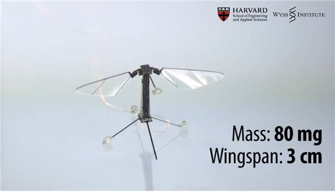 미국 하버드 대학 연구진도 '로보비'(Robobee, 로봇벌)을 개발하고 있다. 하버드대 와이스연구소는 지난 2019년 로보비가 단독 비행에 성공했다고 발표했다. 하지만 실제 상업용 또는 군사 목적으로 활용하려면 더 많은 연구와 개발이 필요하다는 입장이다. 하버드대 와이스연구소 Wyss Institute 홈페이지 캡처