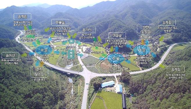 세계중요농업유산으로 등재된 울진만의 혼농임업시스템 경관. 울진군 제공