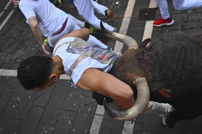 스페인 북부 팜플로나에서 열린 산 페르민 축제의 ‘엔시에로’(황소 달리기) 첫날인 7일(현지시간) 한 참가자의 몸이 황소 머리에 닿아 있다. 2025.7.7 AP 연합뉴스
