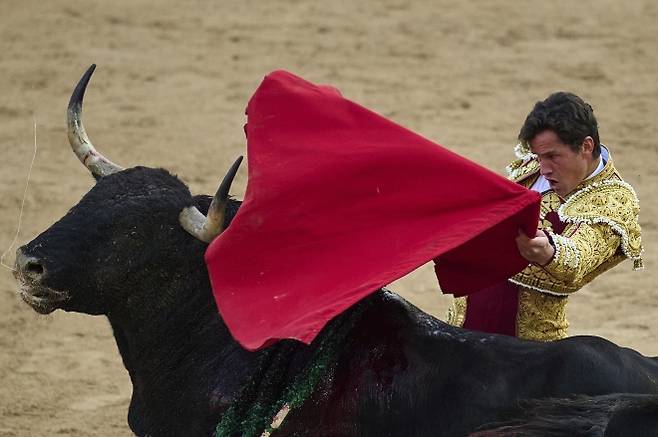 스페인 투우사 다니엘 루케가 7일(현지시간) 스페인 북부 팜플로나에서 열린 산 페르민 축제에서 투우 경기를 하고 있다. 2025.7.7 AP 연합뉴스