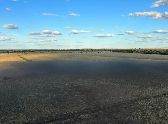 호주 퀸즐랜드 일대에 메뚜기 떼가 대규모로 출몰하면서 방목지 피해가 잇따르고 있다. 퀸즐랜드 목장 주변을 뒤덮은 메뚜기 떼 모습. 호주 ABC뉴스 제공