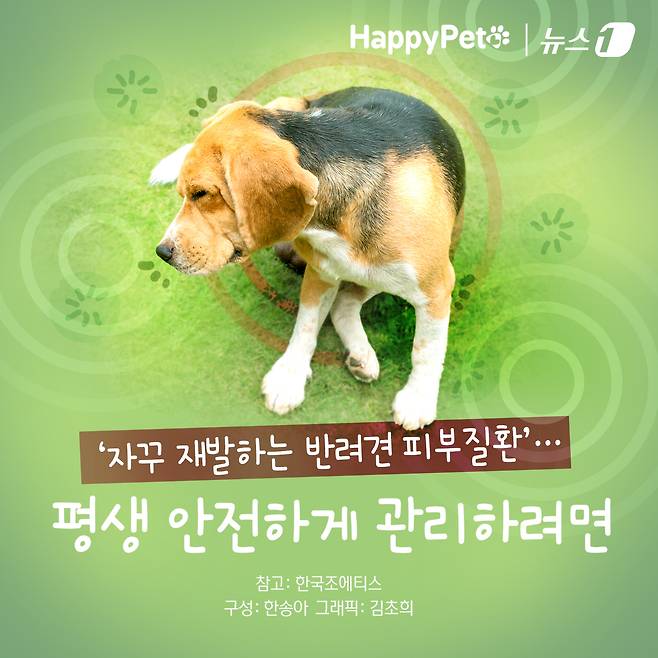 ⓒ News1 김초희 디자이너