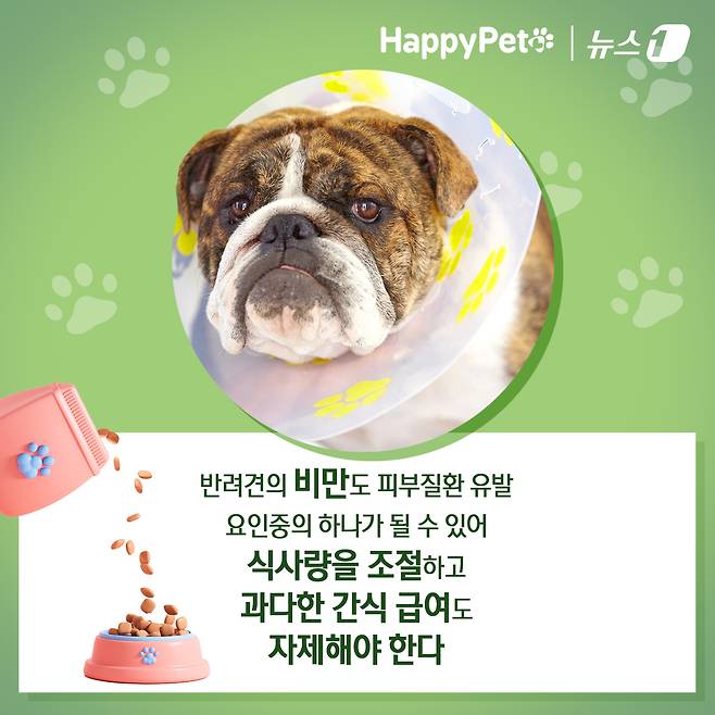 ⓒ News1 김초희 디자이너