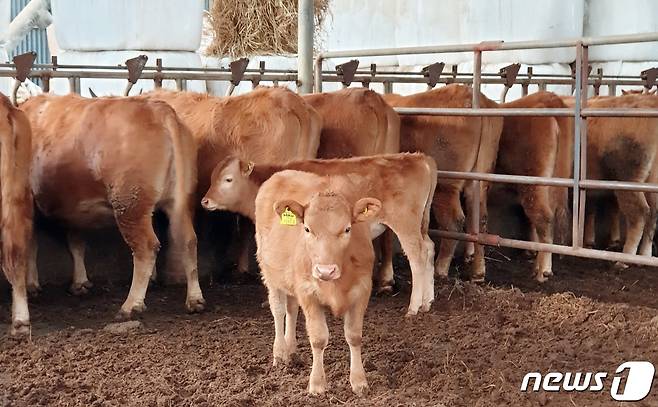 사진은 기사 내용과 무관함. ⓒ News1