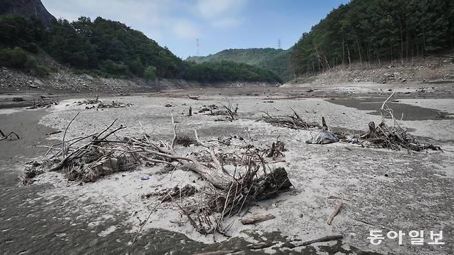 장마가 이례적으로 일찍 끝나면서 9일 강원 강릉시 성산면 오봉저수지의 물길인 도마천이 바닥을 보이고 있다. 이날 오봉저수지 저수율은 30.9%로 가뭄이 극심했던 작년(52.2%)이나 평년(60%대)보다도 매우 낮은 수준을 기록했다. 
강릉=박형기 기자 oneshot@donga.com