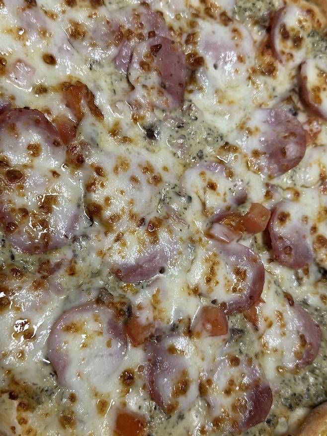 오늘 저녁은 파파존스