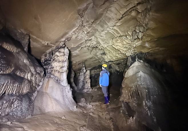 국내 지질 전문가도 ‘최고’라고 칭송하는 백룡동굴에는 희한한 모양의 동굴 생성물이 많다. 박미향 기자