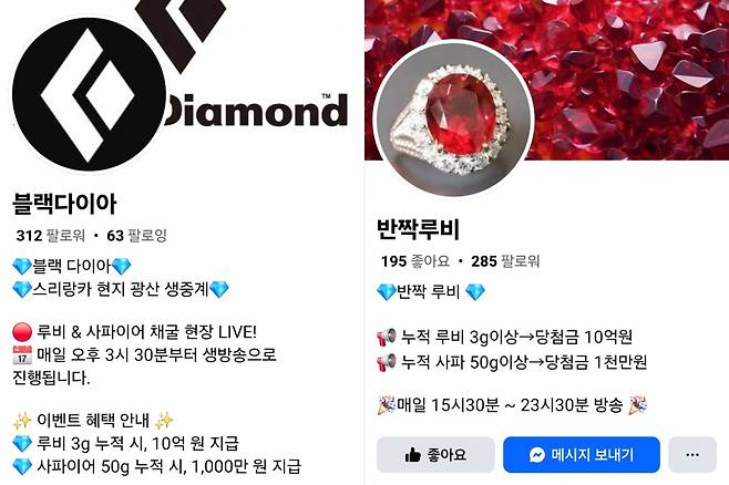 보석 채굴 사기를 저지르는 조직들이 운영하는 페이스북 페이지. 보석 채굴량이 특정 그람(g)에 도달하면 당첨금을 지급한다고 속여 거액의 참여비를 편취하는 신종 사기다./사진=페이스북 갈무리