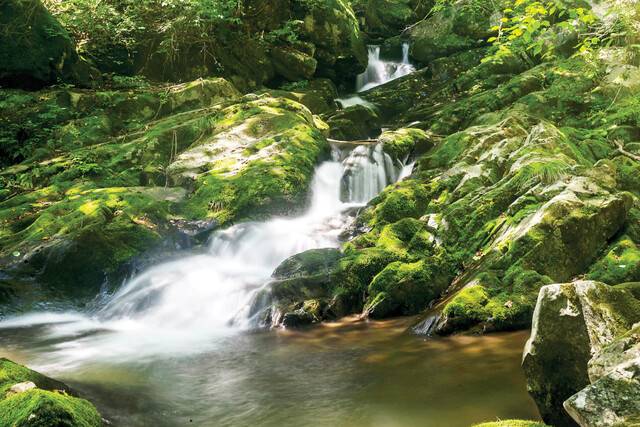 여름 휴가철, 폭포를 품고 있는 계곡은 ‘무(無)더위’ 피서지로 안성맞춤이다. 강원도 정선군 항골계곡 ‘긴폭포’.