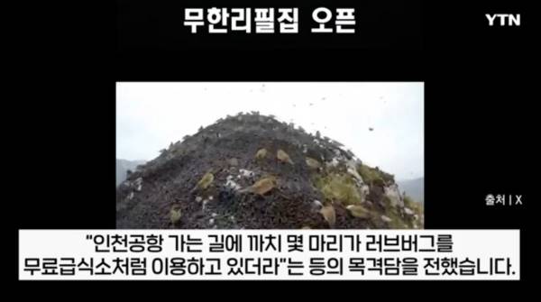 ▲YTN '지금 이 뉴스' 갈무리