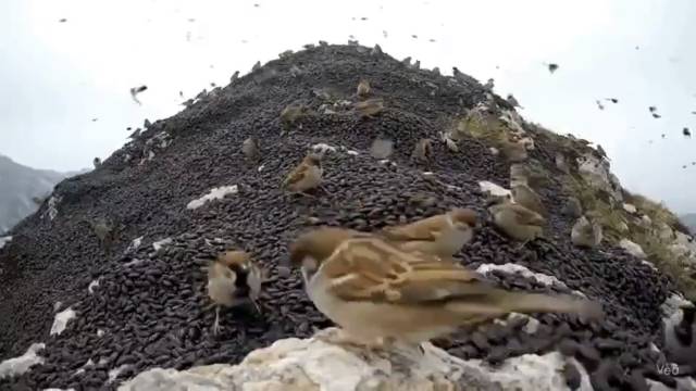 논란이 된 AI로 생성된 사진. SNS 캡쳐