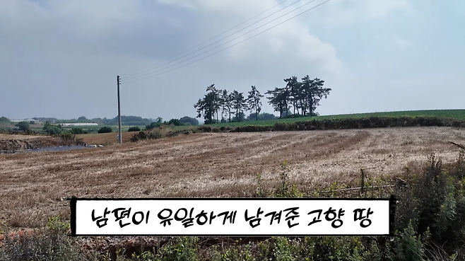 유튜브 채널 ‘순풍 선우용여’ 캡처