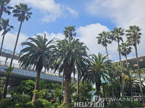 제주공항 전경 [촬영 조채희