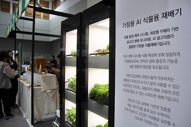 푸파제 제주 현장 ⓒ제주의소리