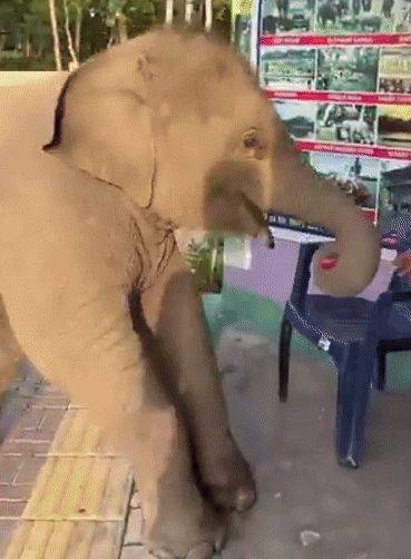 ⓒ힌두스탄타임스 갈무리