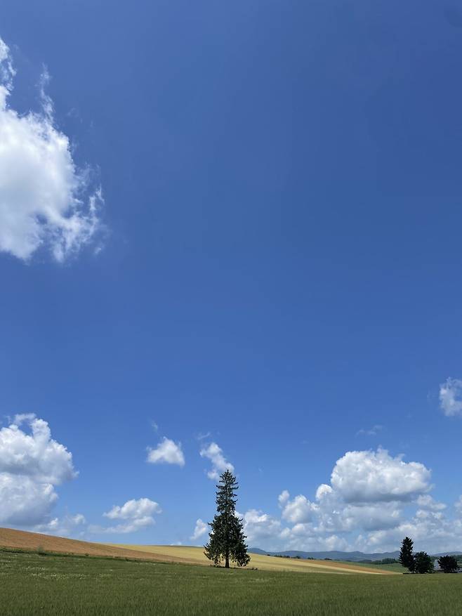 IMG_6154.jpeg 7월의 삿포로 풍경