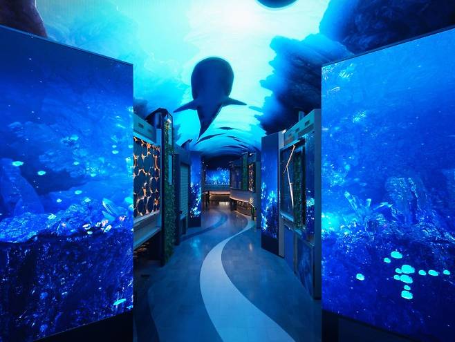 디지털 엔터테인먼트 거리 ‘오로라’를 유영하는 고래