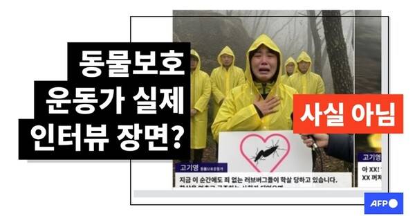 ▲AFP 팩트체크 코리아 기사 화면 갈무리.