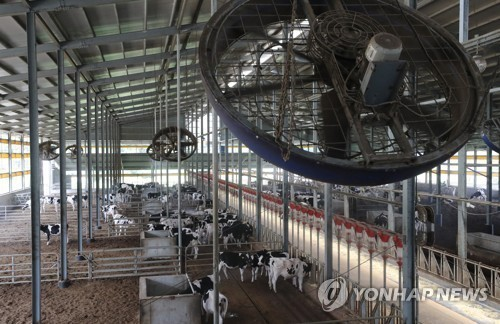 계속되는 폭염에 가축 폐사가 작년 대비 10배 이상 늘어난 것으로 파악됐다. [사진 = 연합뉴스]
